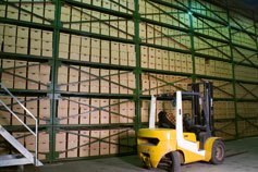 Inventory and Supply Chain Management